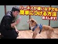 √1000以上 犬 リード ハーネス 中型犬 146838-犬 リード ハーネス 中型犬