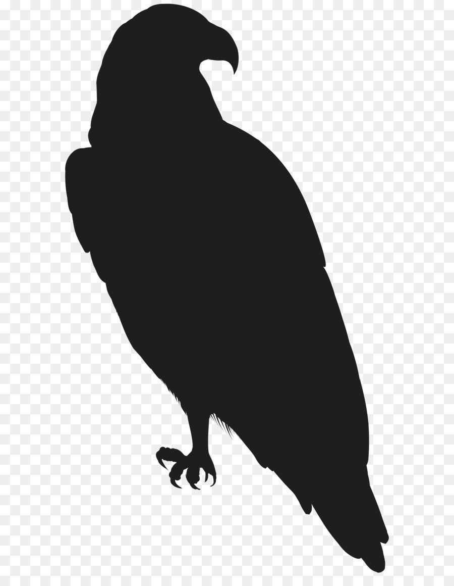 Download Free Eagle Silhouette Svg Download Free Eagle Silhouette Svg Png Images Free Cliparts On Clipart Library