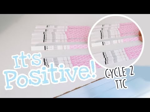 A STRONG POSITIVE + Date Night! [TTC Cycle 2]