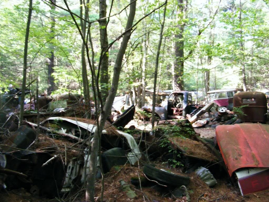 Classic car graveyard.