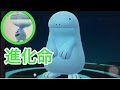 画像をダウンロード ポケモン ウーパールーパー 進化 159366