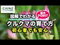 √ クルクマの花 217993-クルクマの花