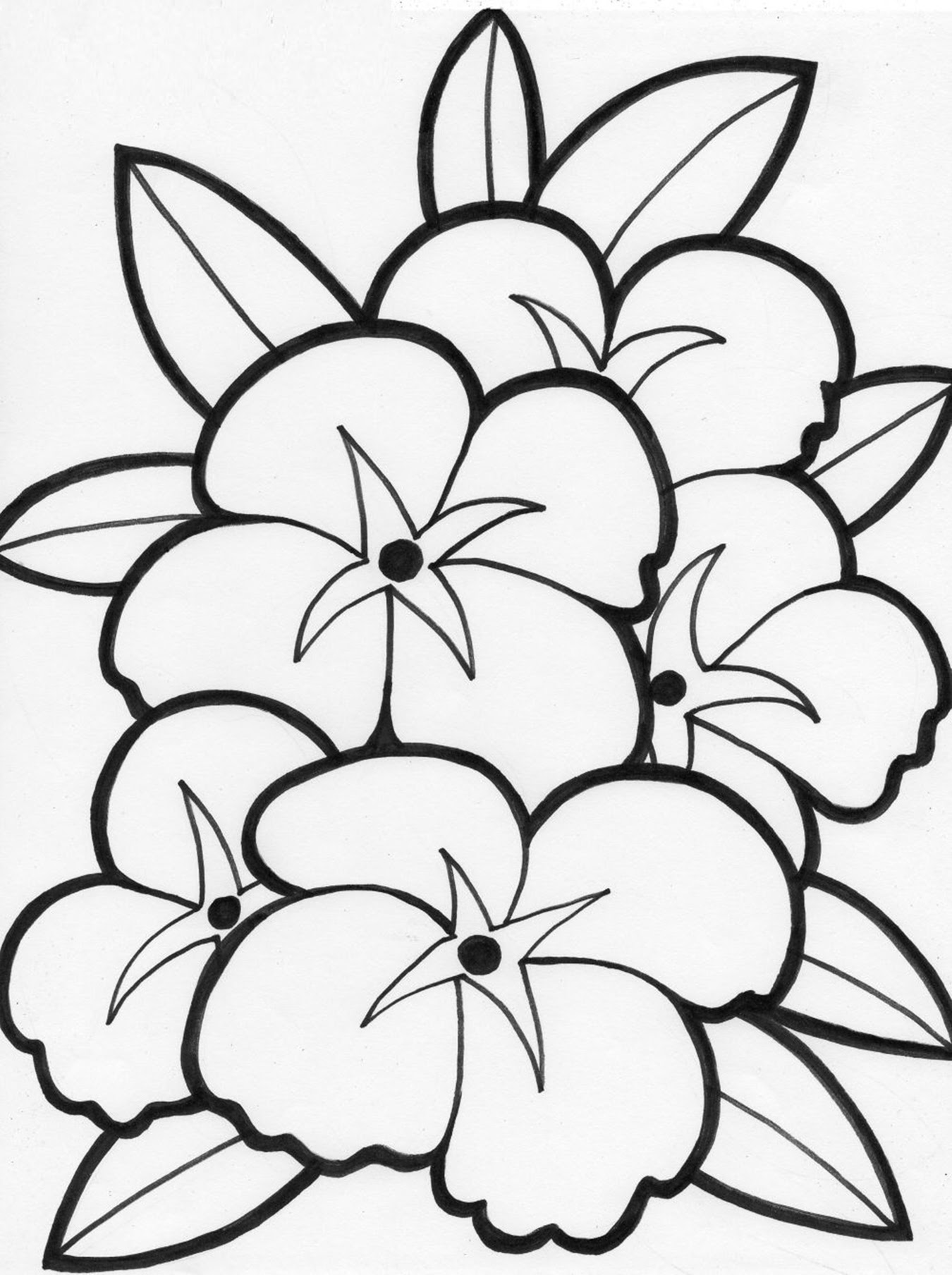 Free Printable Flower Coloring Pages For Kids - Best ...