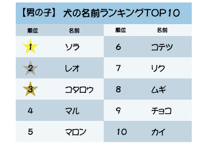 最新版 犬の名前ランキング 和風の名前が人気 名づけのポイントも