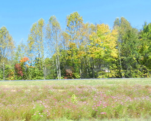 todayflowDSCN0081