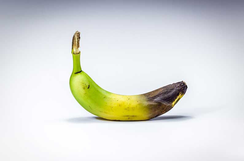 A new AI-powered app scans banana crops for early signs of disease