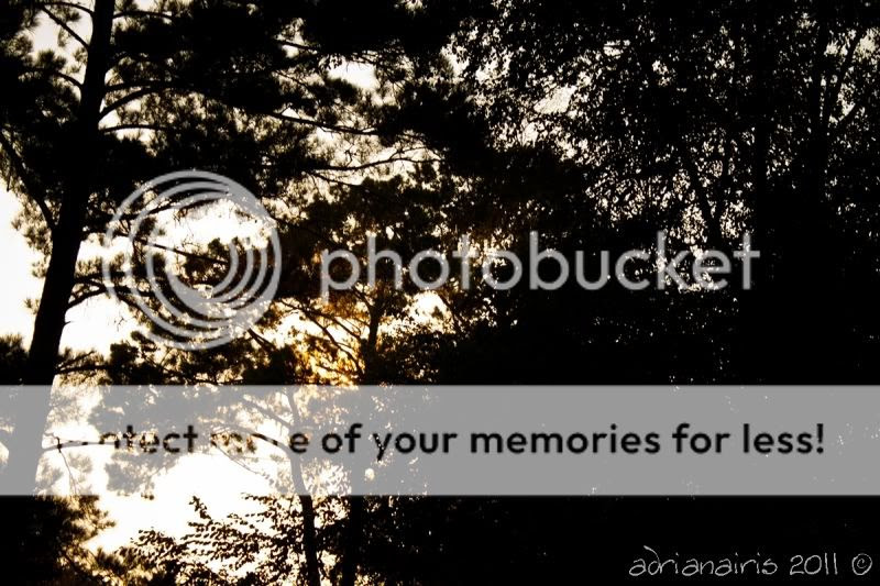 adrianairis La Dulce Vida