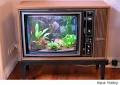 29 Crazy and Unique Fish Tanks - Urlesque
