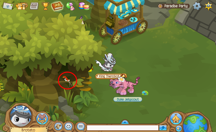 where are the birds of paradise animal jam