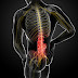 Low Back Muscles Hip : Why Poor Glute and Core Activation/Strength Could Be ... : They are responsible for the range of motion in the legs and hips.