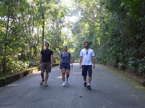 Tijuca Forest in Rio