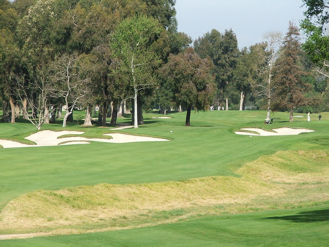 Riviera 7th