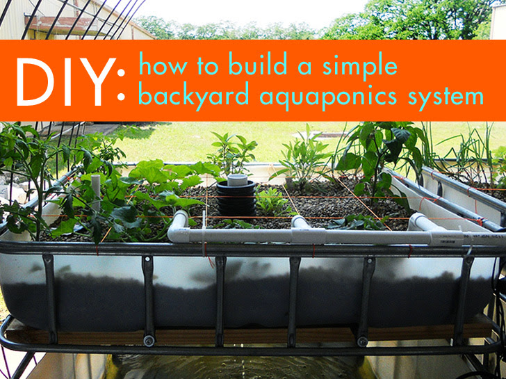 DIY: Everything You Need to Know to Build a Simple ...