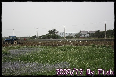 IMG_0400.jpg