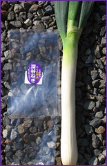 247 Fukaya Negi Leek