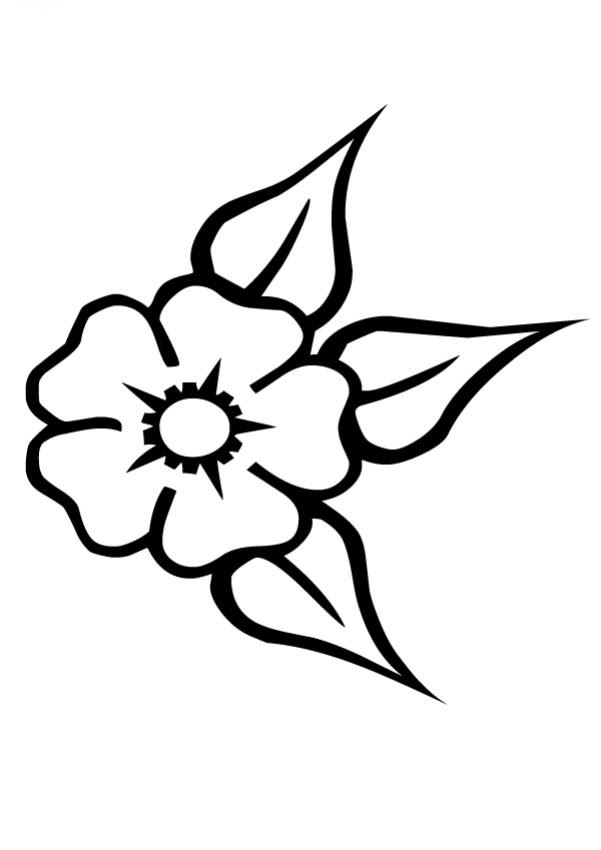 http://images.yodibujo.es/img/flor-n-25-26429.jpg
