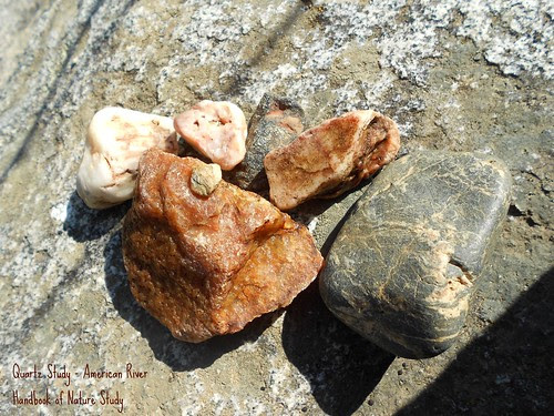 Collection of Rocks - American River