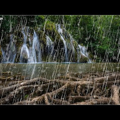 [NO ADS] Rain Sounds for Sleeping, Studying, Relaxing, insomnia | Raining