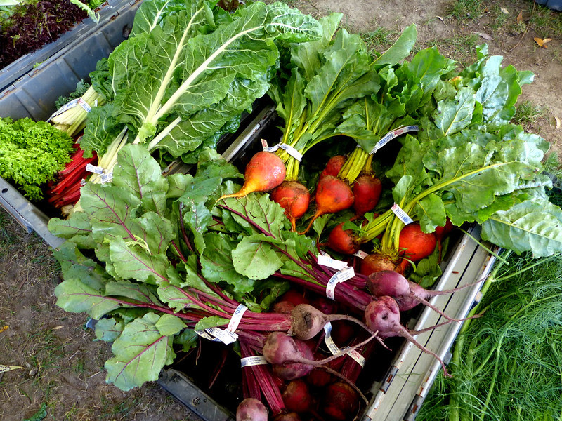 Organic Beets