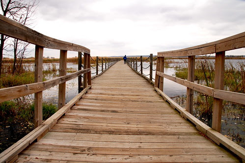 Horicon Boardwalk