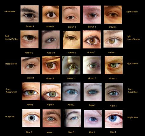 (creative commons robert frost) ( . human eye color chart with names images pictures becuo