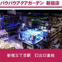 熱帯魚パウパウアクアガーデン今月の営業時間