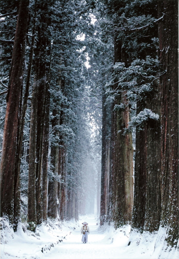 戸隠神社日記 奥社参道杉並木アーカイブ
