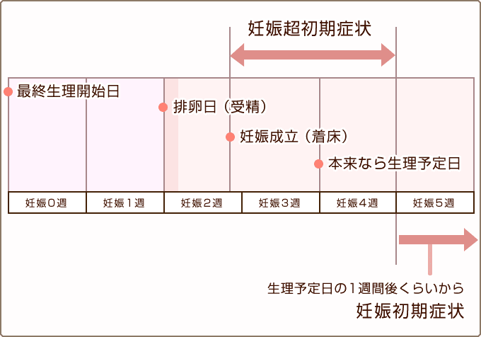 妊娠の可能性を感じたら 妊娠超初期症状はどんな症状 Famimo