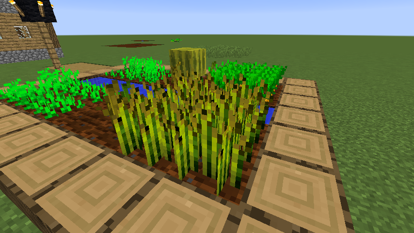 耕地の作り方と栽培できる農作物 ビビアンのマイクラ攻略ブログ