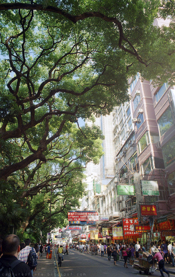 KodakGC400_0000390oz_XE1_Kiron_28_2