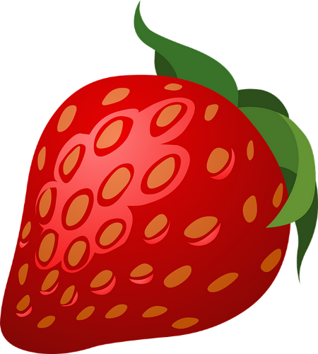 Fraise Dessin