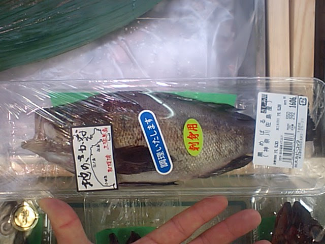 世間の相場 メバル