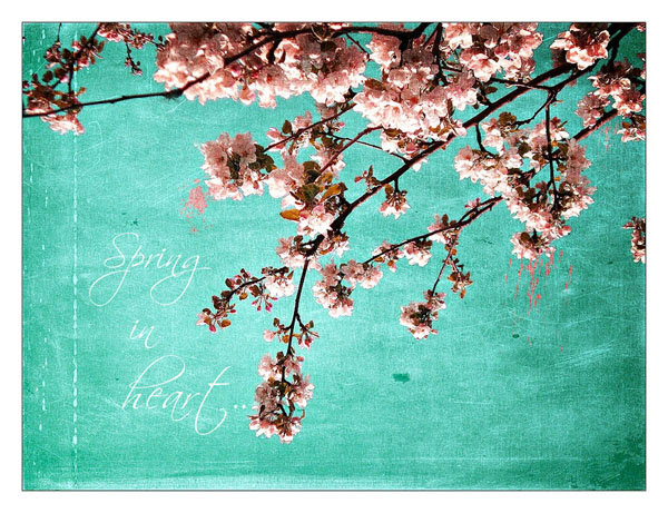 springphoto10 30 Vibrant Examples of Spring Photography