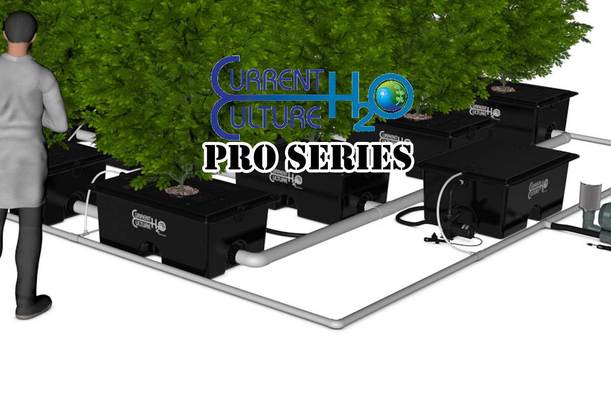 Under Current Pro Hydroponics System - GROZINEGROZINE