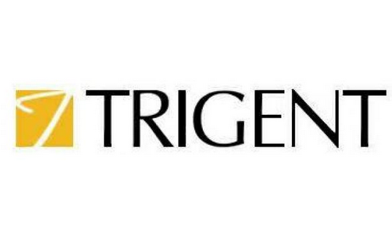 Image result for Trigent Software