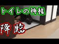 ++ 50 ++ 犬 フローリングで寝る 200742-犬 フローリングで寝る