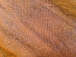 20121023-202338.jpg