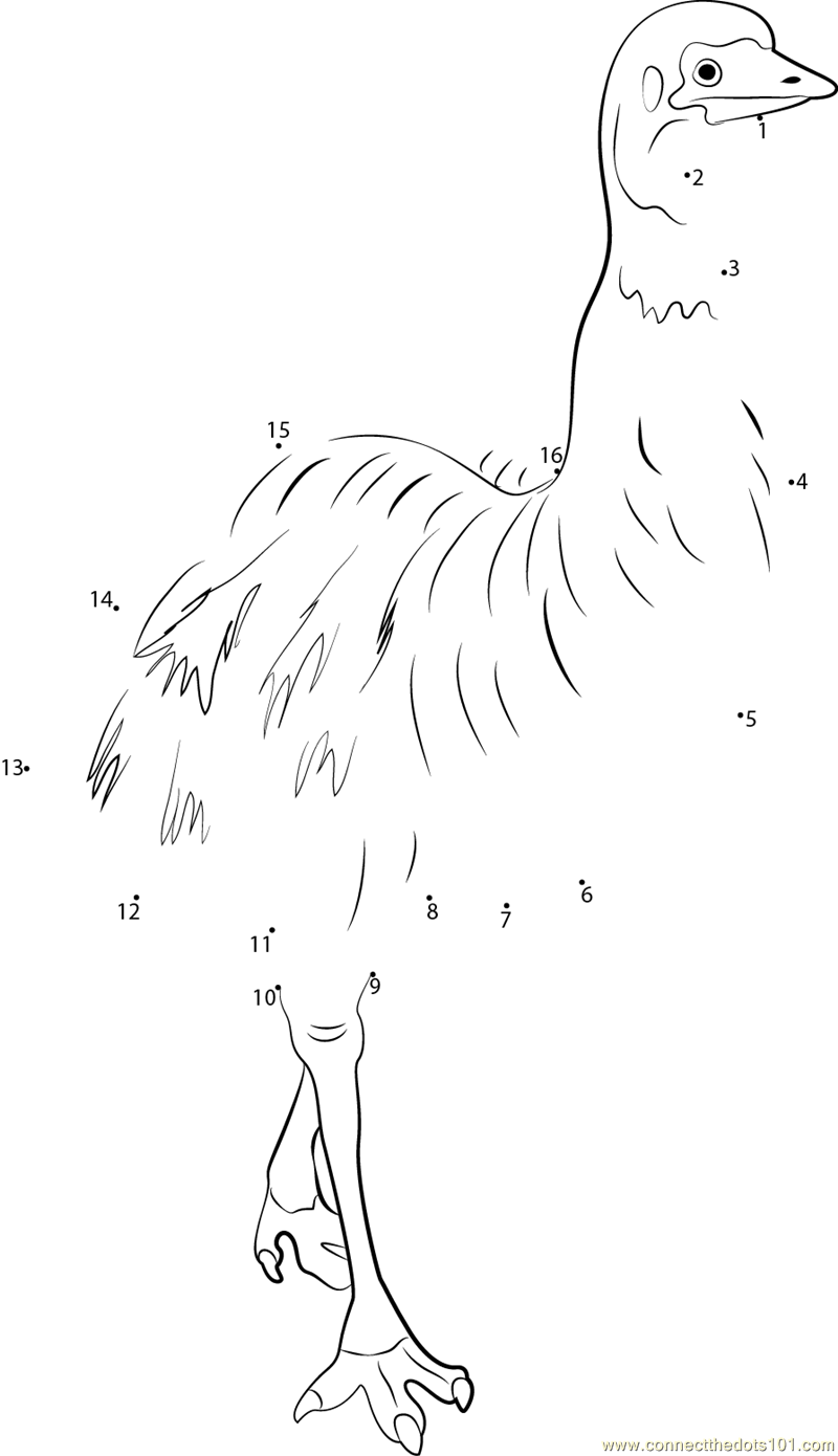 Download Connect the Dots Cute Emu Close-Up (Birds > Emu) - dot to ...