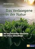 Das Verborgene in der Natur: Wasser, Naturkräfte und das Wirken des Menschen - Die wegweisenden Einsichten von Viktor Schauberger