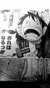 one piece 601