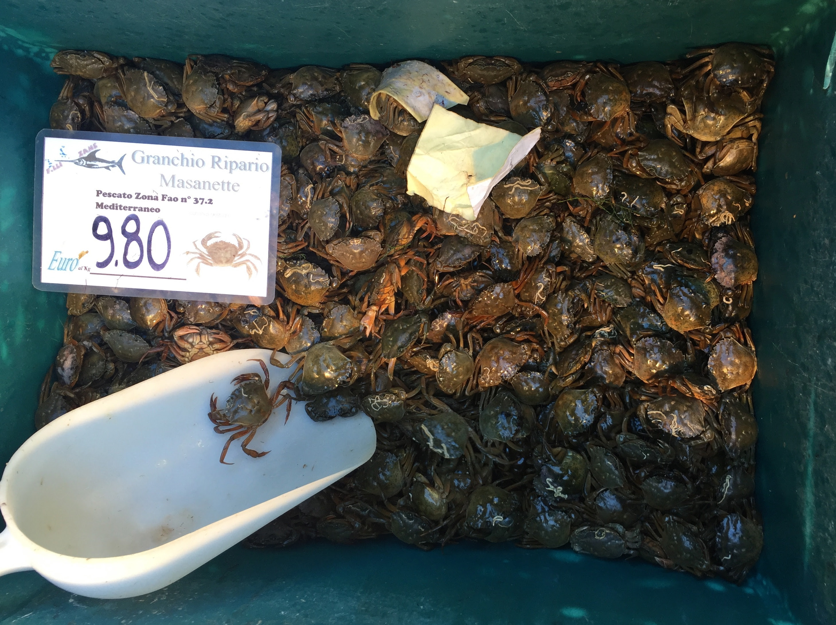 How To Cook Crab Green Hell