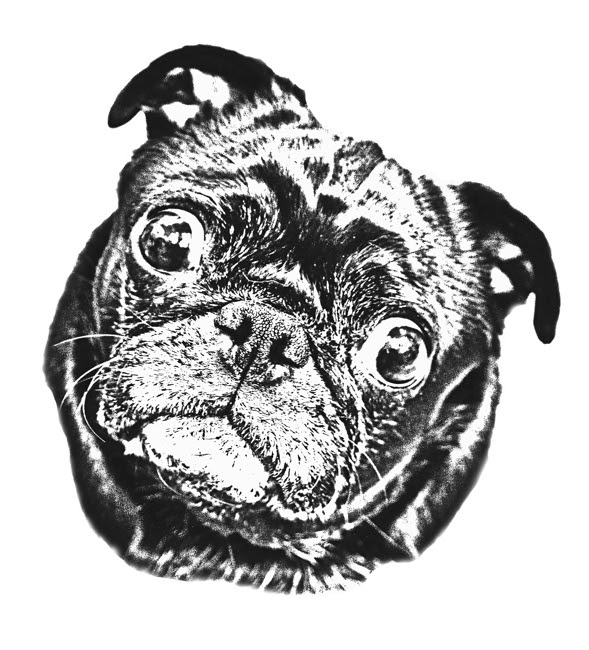 すべての動物の画像 ユニーク犬 イラスト 白黒