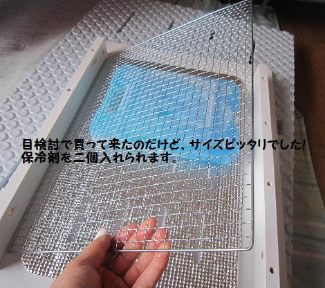 チッチ専用 冷え冷えハウス製作物語 長いよ Chitchies