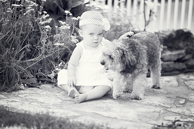 www.dreamingtreephotography.org