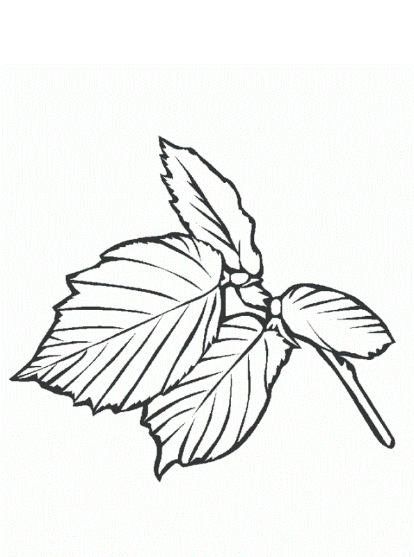 Download Kids-n-fun.co.uk | Create personal coloring page of Trees and leaves coloring page