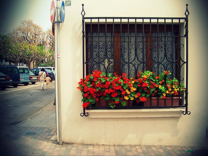 100_8820copia