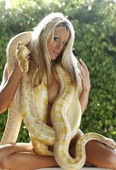 naked Sexy Woman With Burmese Python