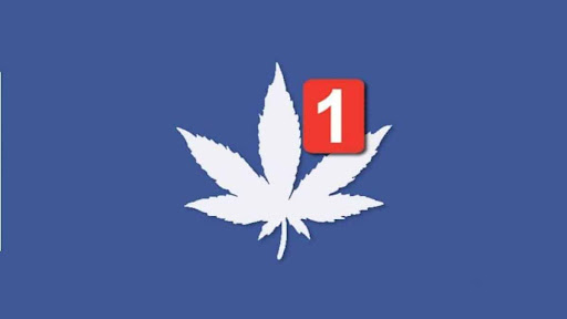 Diario de um Maconha