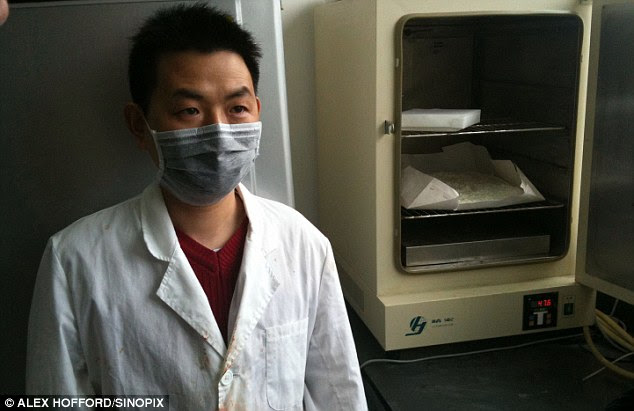 A lab assistant in Shanghai laboratory