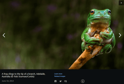 Bingが一挙公開するホームページの背景画像ギャラリー Bing Homepage Gallery K Conf